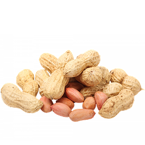 nuts png